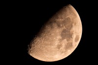 /album/galleria-foto-homepage/luna-13-09-13-jpg/